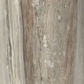 REX Etoile Tropical Matt Rett 120x120 - 6 мм