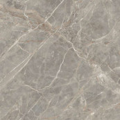 REX Etoile Gris Glossy Rett 120x120 - 6 мм