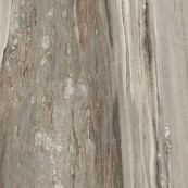 REX Etoile Tropical Glossy Rett 120x120 - 6 мм