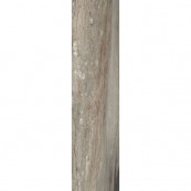 REX Etoile Tropical Glossy Rett 240x60 - 6 мм
