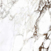 REX Bijoux Breche Capraia Glossy Rett 120x120 - 6 мм