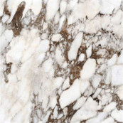 REX Bijoux Breche Capraia Glossy Rett 120x120 - 6 мм