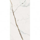 REX Les Origines De Or Glossy 120x60 - 10 мм