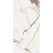 REX Les Origines De Or Glossy 120x60 - 10 мм