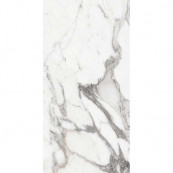 REX Les Origines De Argent Glossy 120x60 - 10 мм