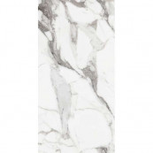 REX Les Origines De Argent Glossy 120x60 - 10 мм