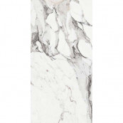 REX Les Origines De Argent Glossy 120x60 - 10 мм