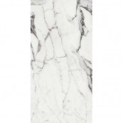 REX Les Origines De Argent Glossy 120x60 - 10 мм