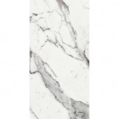 REX Les Origines De Argent Glossy 120x60 - 10 мм