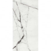 REX Les Origines De Argent Glossy 120x60 - 10 мм