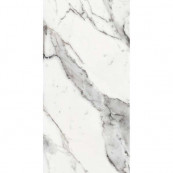 REX Les Origines De Argent Glossy 120x60 - 10 мм