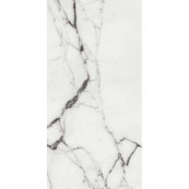 REX Les Origines De Argent Glossy 120x60 - 10 мм