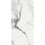 REX Les Origines De Argent Glossy 120x60 - 10 мм