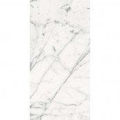 REX Les Origines De Blanc Glossy 120x60 - 10 мм