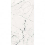 REX Les Origines De Blanc Glossy 120x60 - 10 мм
