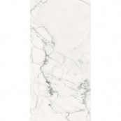 REX Les Origines De Blanc Glossy 120x60 - 10 мм