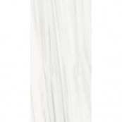 REX Les Origines De Ombre Doree Glossy 120x60 - 10 мм