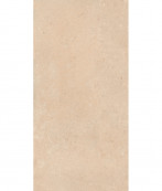 REX Authentic Dordogne Cannete Rett 120x60 - 9 мм