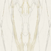 REX Комплект Gold Open Book A+b Glossy 320x320 - 6 мм