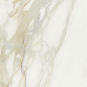 REX Etoile Creme Matt Rett 80x80 - 10 мм