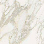 REX Etoile Creme Matt Rett 80x80 - 10 мм