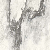 REX Etoile Renoir Glossy Rett 80x80 - 10 мм