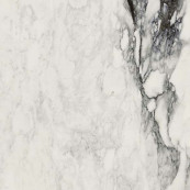 REX Etoile Renoir Glossy Rett 80x80 - 10 мм