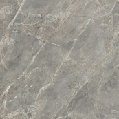 REX Etoile Gris Glossy Rett 80x80 - 10 мм