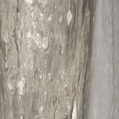 REX Etoile Tropical Glossy Rett 80x80 - 10 мм