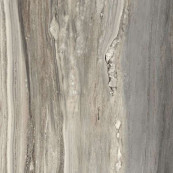 REX Etoile Tropical Glossy Rett 80x80 - 10 мм