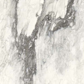 REX Etoile Renoir Glossy Rett 60x60 - 9 мм