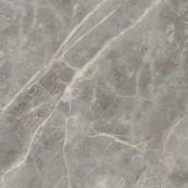 REX Etoile Gris Glossy Rett 60x60 - 9 мм