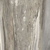 REX Etoile Tropical Glossy Rett 60x60 - 9 мм
