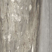 REX Etoile Tropical Glossy Rett 60x60 - 9 мм