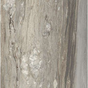 REX Etoile Tropical Glossy Rett 60x60 - 9 мм