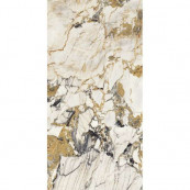 REX Etoile Symphonie Glossy Rett 120x60 - 6 мм