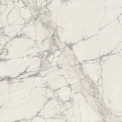 REX Prexious Rex Mountain Treasure Glossy Rett 80x80 - 10 мм