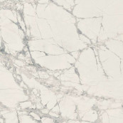 REX Prexious Rex Mountain Treasure Glossy Rett 80x80 - 10 мм
