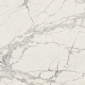 REX Prexious Rex Mountain Treasure Glossy Rett 80x80 - 10 мм