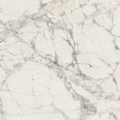 REX Prexious Rex Mountain Treasure Glossy Rett 60x60 - 10 мм