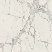 REX Prexious Rex Mountain Treasure Glossy Rett 60x60 - 10 мм