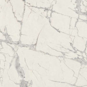 REX Prexious Rex Mountain Treasure Glossy Rett 60x60 - 10 мм