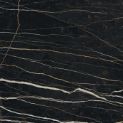 REX Prexious Rex Thunder Night Glossy Rett 60x60 - 10 мм