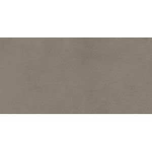 Boost Pro Taupe Matt Sensitech 60x30 - 9 мм