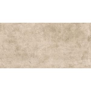 Lims Grey Outdoor Sensitech 120x60 - 20 мм