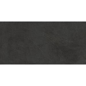 Prism Graphite Matt Sensitech 120x60 - 9 мм
