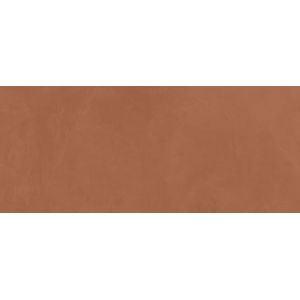 Prism Caramel Matt 120x50 - 8.5 мм