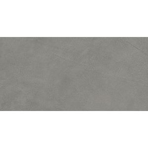 Prism Fog Matt Sensitech 60x30 - 9 мм