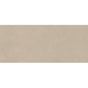 Boost Natural Ash Matt 120x50 - 8.5 мм