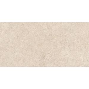 Boost Stone Ivory Matt Sensitech 120x60 - 9 мм